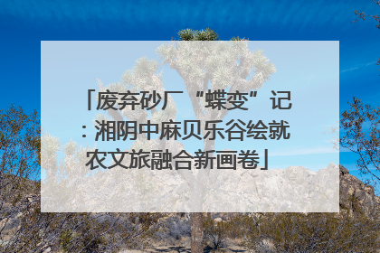 废弃砂厂“蝶变”记：湘阴中麻贝乐谷绘就农文旅融合新画卷