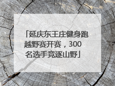 延庆东王庄健身跑越野赛开赛，300名选手竞逐山野