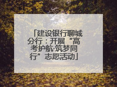 建设银行聊城分行：开展“高考护航·筑梦同行”志愿活动