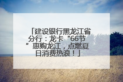建设银行黑龙江省分行：龙卡“66节”惠购龙江，点燃夏日消费热浪！