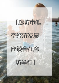 廊坊市低空经济发展座谈会在廊坊举行