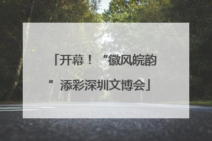 开幕！“徽风皖韵”添彩深圳文博会