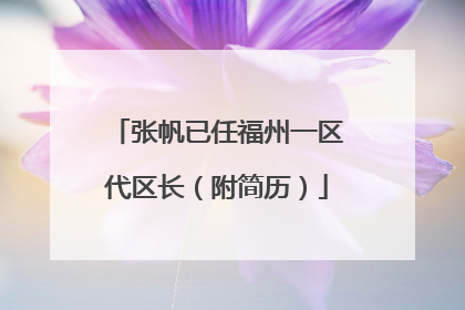 张帆已任福州一区代区长（附简历）