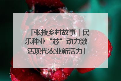 张掖乡村故事｜民乐种业“芯”动力激活现代农业新活力