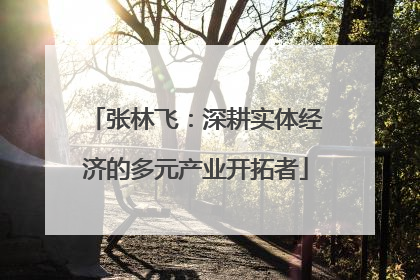 张林飞：深耕实体经济的多元产业开拓者