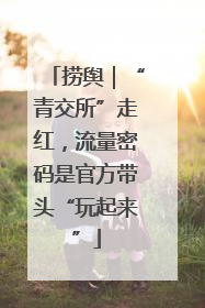 捞舆｜“青交所”走红，流量密码是官方带头“玩起来”