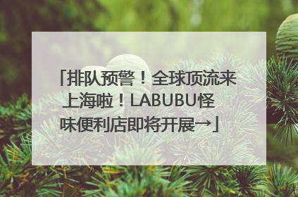 排队预警！全球顶流来上海啦！LABUBU怪味便利店即将开展→