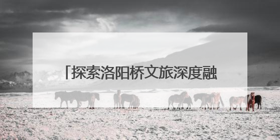 探索洛阳桥文旅深度融合发展 洛江区政协组织开展课题调研活动