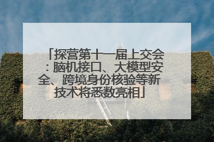 探营第十一届上交会：脑机接口、大模型安全、跨境身份核验等新技术将悉数亮相