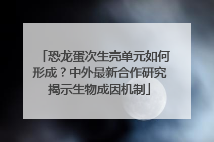 恐龙蛋次生壳单元如何形成？中外最新合作研究揭示生物成因机制
