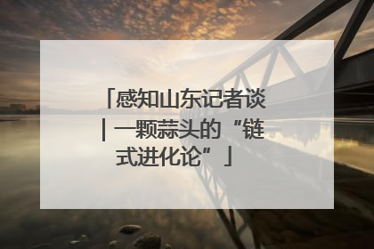 感知山东记者谈｜一颗蒜头的“链式进化论”