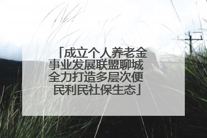 成立个人养老金事业发展联盟聊城全力打造多层次便民利民社保生态