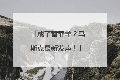 成了替罪羊？马斯克最新发声！