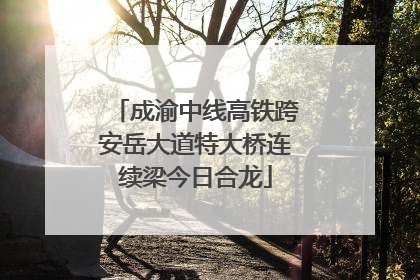 成渝中线高铁跨安岳大道特大桥连续梁今日合龙