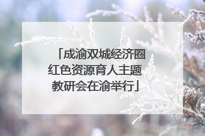 成渝双城经济圈红色资源育人主题教研会在渝举行