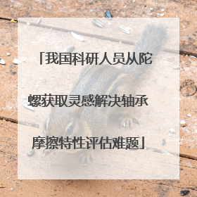 我国科研人员从陀螺获取灵感解决轴承摩擦特性评估难题