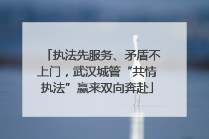 执法先服务、矛盾不上门，武汉城管“共情执法”赢来双向奔赴
