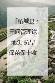 柘城县：田间管理送地头 抗旱保苗保丰收