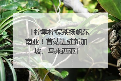 柠季柠檬茶扬帆东南亚！首站进驻新加坡、马来西亚