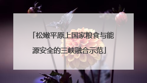 松嫩平原上国家粮食与能源安全的三峡融合示范