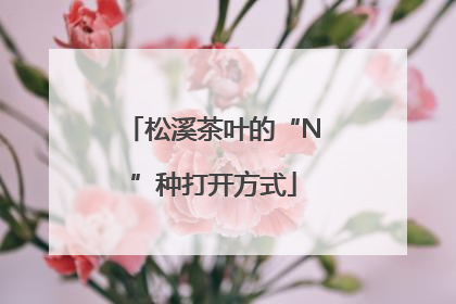 松溪茶叶的“N”种打开方式