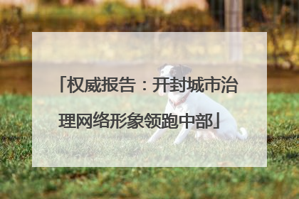 权威报告：开封城市治理网络形象领跑中部