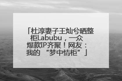 杜淳妻子王灿兮晒整柜Labubu，一众爆款IP齐聚！网友：我的 “梦中情柜”