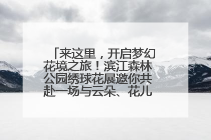 来这里，开启梦幻花境之旅！滨江森林公园绣球花展邀你共赴一场与云朵、花儿的浪漫之约