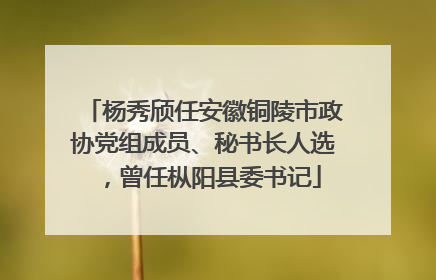 杨秀颀任安徽铜陵市政协党组成员、秘书长人选，曾任枞阳县委书记