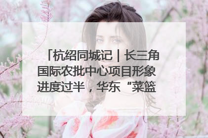 杭绍同城记｜长三角国际农批中心项目形象进度过半，华东“菜篮子”建设加码提速！
