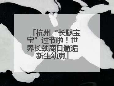 杭州“长腿宝宝”过节啦！世界长颈鹿日邂逅新生幼崽