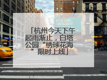 杭州今天下午起雨渐止，白塔公园“绣球花海”限时上线