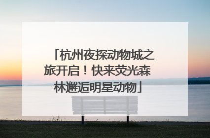 杭州夜探动物城之旅开启！快来荧光森林邂逅明星动物