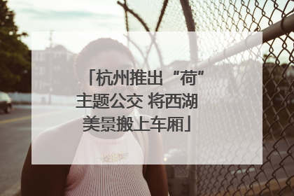 杭州推出“荷”主题公交 将西湖美景搬上车厢