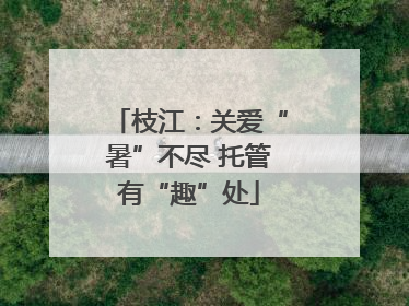 枝江：关爱“暑”不尽 托管有“趣”处