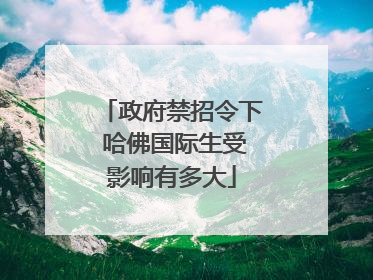 政府禁招令下 哈佛国际生受影响有多大