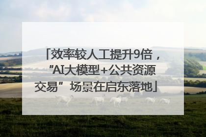 效率较人工提升9倍，“AI大模型+公共资源交易”场景在启东落地