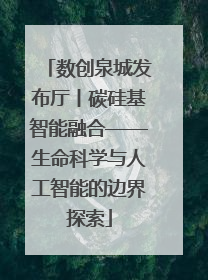 数创泉城发布厅丨碳硅基智能融合——生命科学与人工智能的边界探索