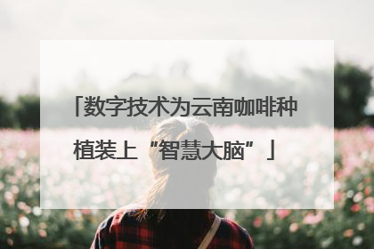 数字技术为云南咖啡种植装上“智慧大脑”