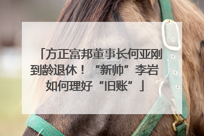 方正富邦董事长何亚刚到龄退休！“新帅”李岩如何理好“旧账”