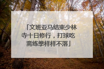 文班亚马结束少林寺十日修行，打球吃斋练拳样样不落