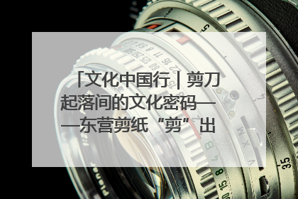 文化中国行｜剪刀起落间的文化密码——东营剪纸“剪”出非遗传承与现代生活的融合之道