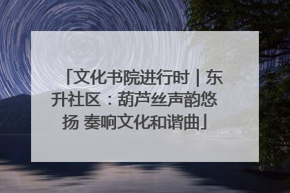 文化书院进行时｜东升社区：葫芦丝声韵悠扬 奏响文化和谐曲