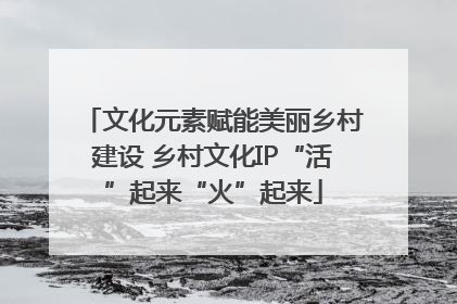 文化元素赋能美丽乡村建设 乡村文化IP“活”起来“火”起来