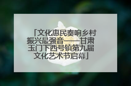 文化惠民奏响乡村振兴最强音——甘肃玉门下西号镇第九届文化艺术节启幕