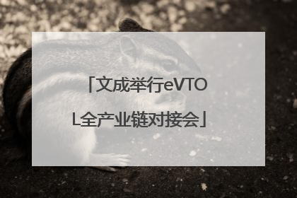 文成举行eVTOL全产业链对接会