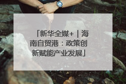 新华全媒+｜海南自贸港：政策创新赋能产业发展