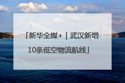 新华全媒+｜武汉新增10条低空物流航线
