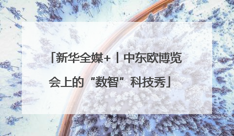 新华全媒+丨中东欧博览会上的“数智”科技秀