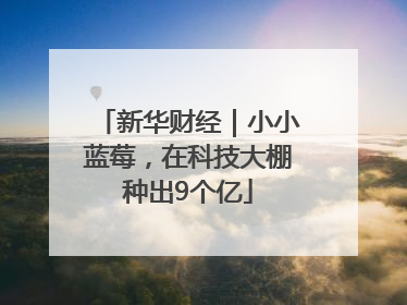 新华财经｜小小蓝莓，在科技大棚种出9个亿